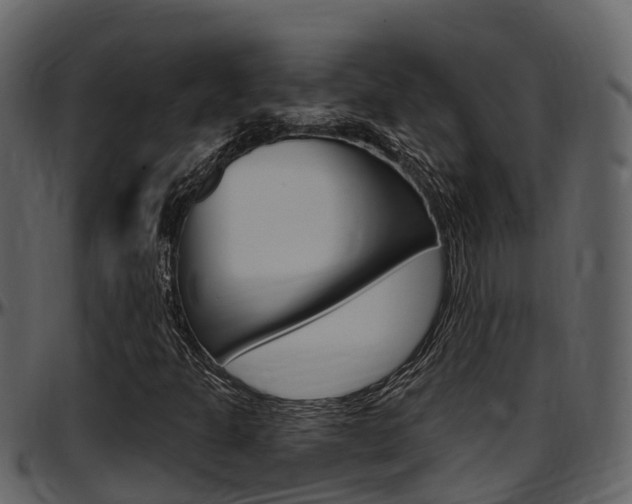 X0000097651301200802290837