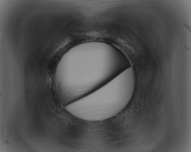 X0000097651302200802290837