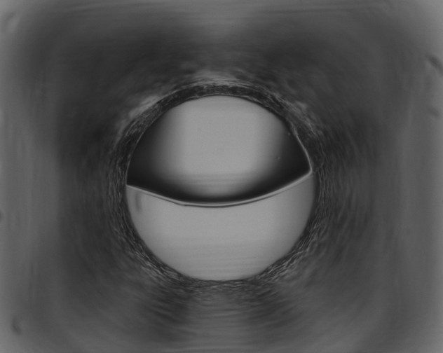 X0000097651303200802290837