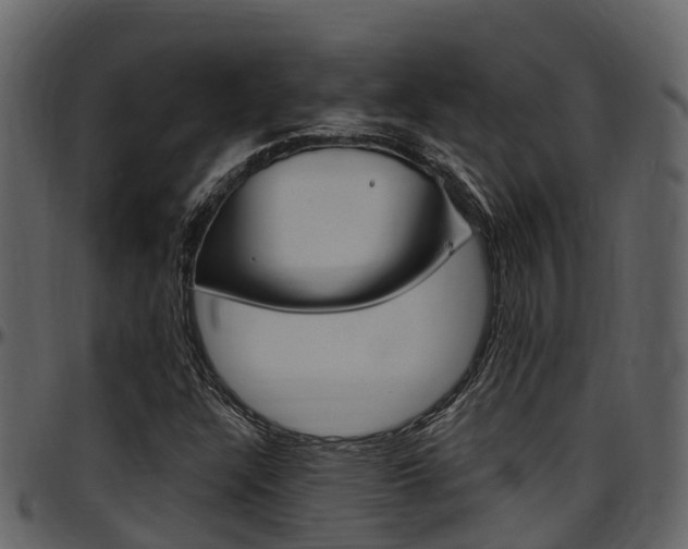 X0000097651304200802290837