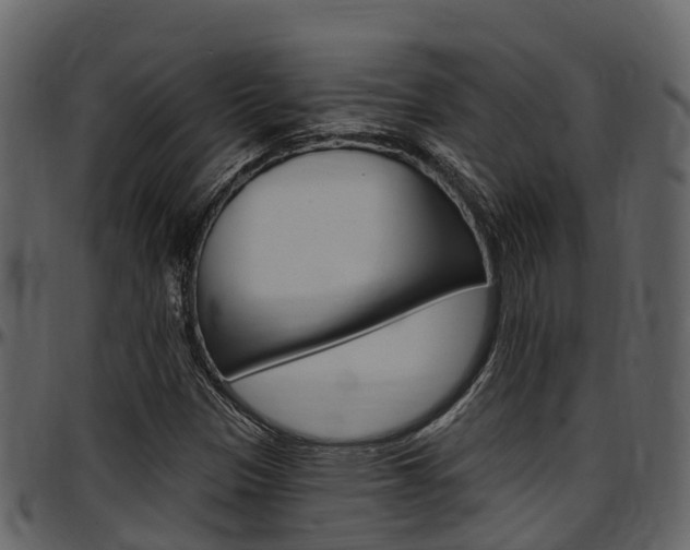X0000097651305200802290837