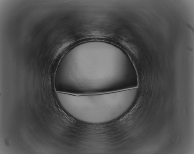 X0000097651307200802290837