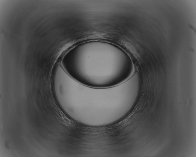 X0000097651308200802290837