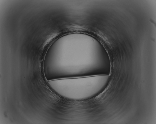 X0000097651309200802290837