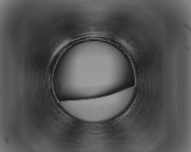 X0000097651310200802290837