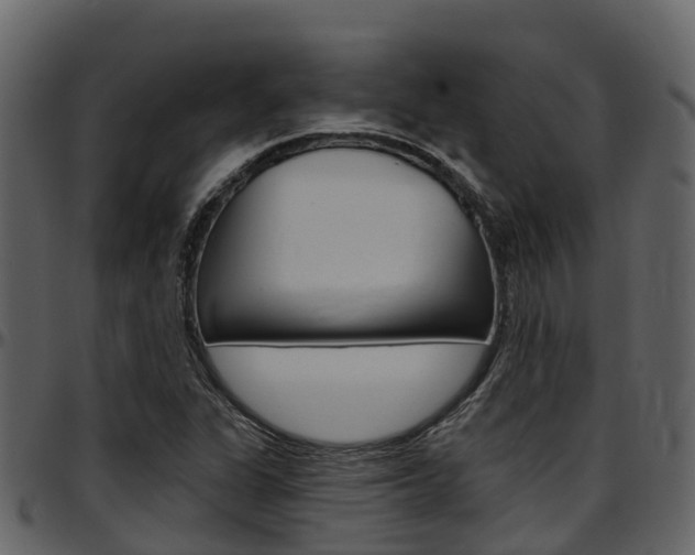 X0000097651311200802290837