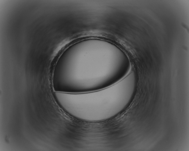 X0000097651312200802290837