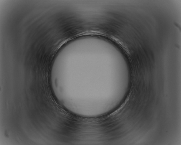 X0000097651313200802290837
