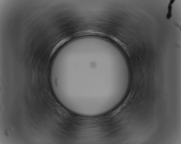 X0000097651314200802290837