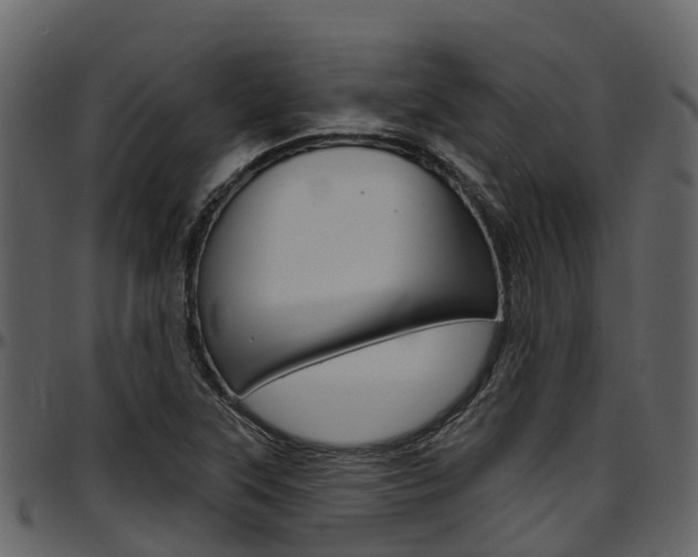 X0000097651315200802290837