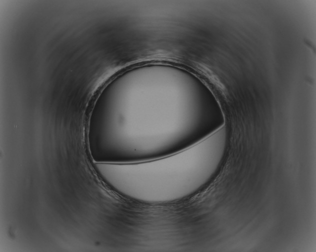 X0000097651316200802290837