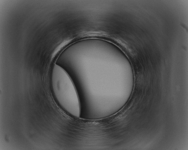 X0000097651317200802290837