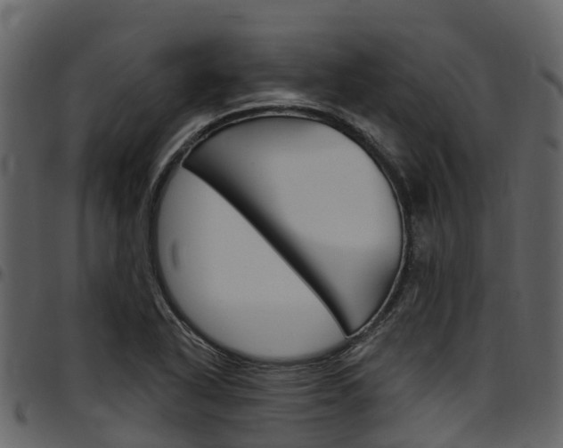 X0000097651318200802290837
