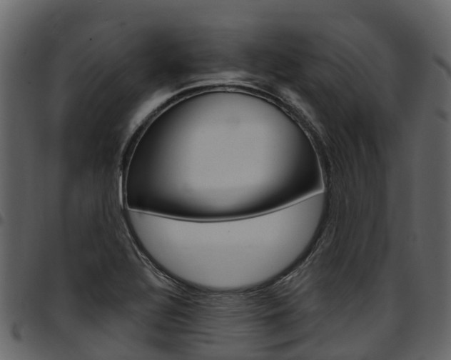 X0000097651320200802290837