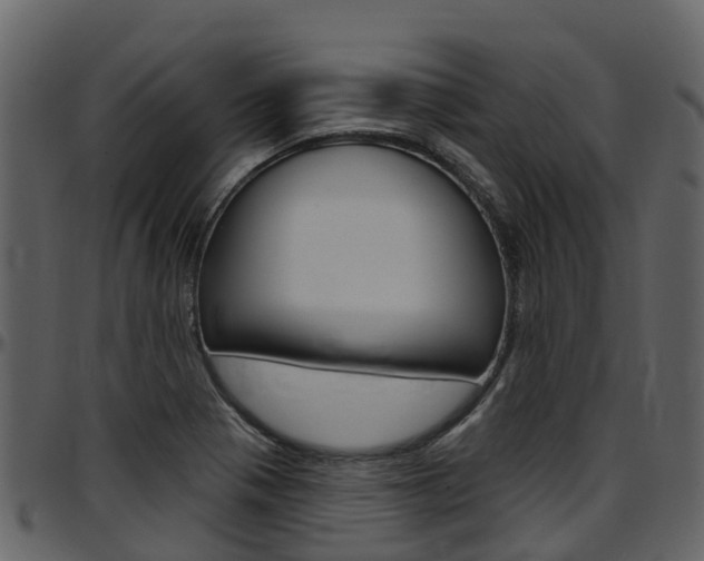 X0000097651321200802290837