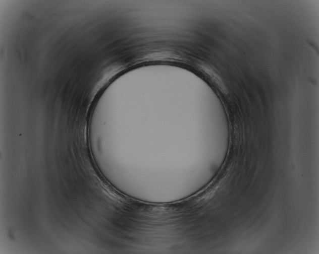 X0000097651322200802290837