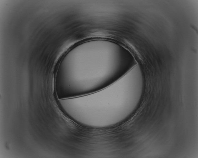 X0000097651323200802290837