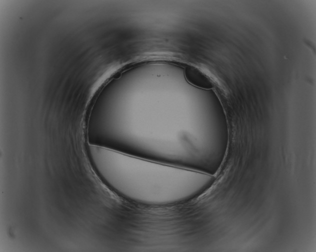 X0000097651325200802290837