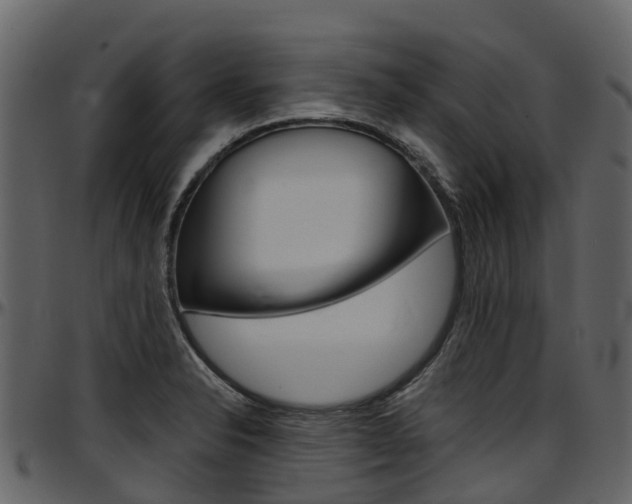 X0000097651326200802290837