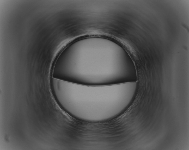 X0000097651327200802290837