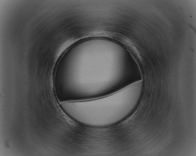 X0000097651328200802290837