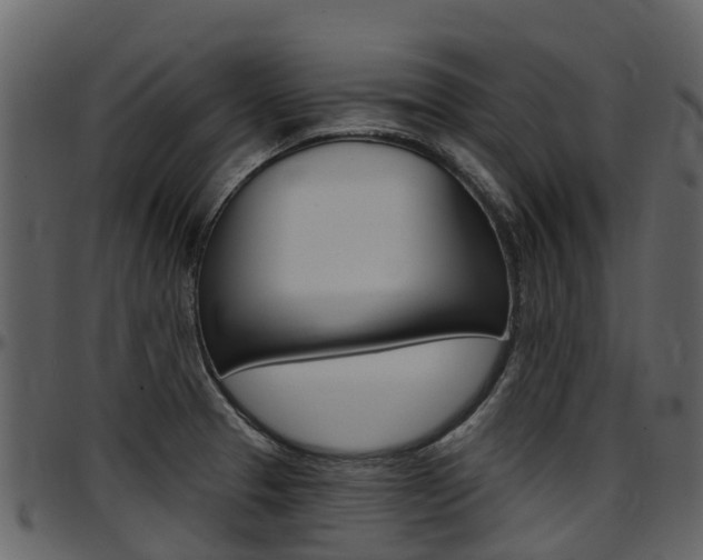 X0000097651329200802290837