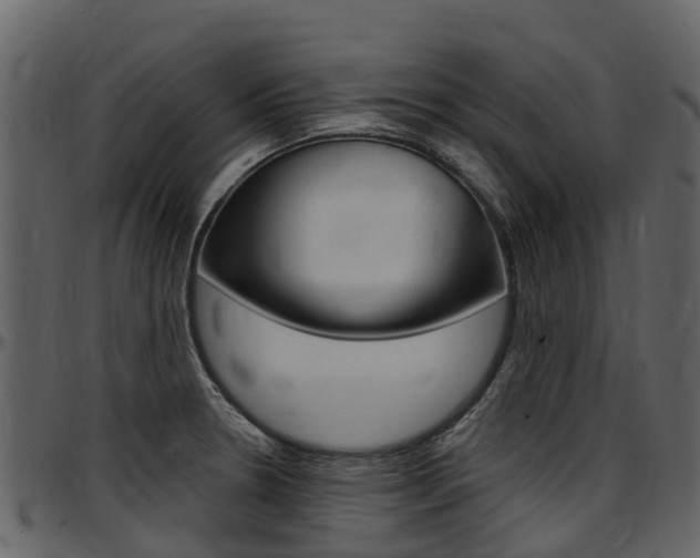 X0000097651330200802290837