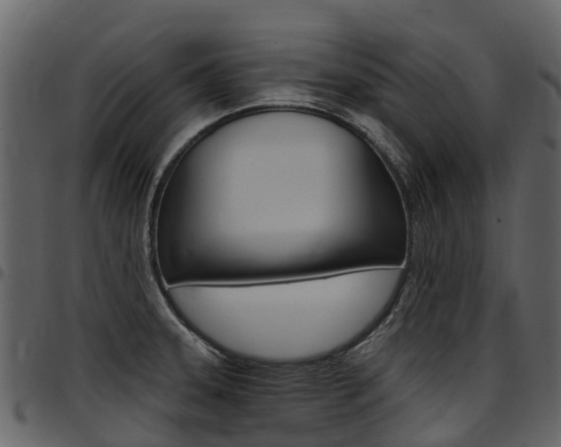 X0000097651331200802290837