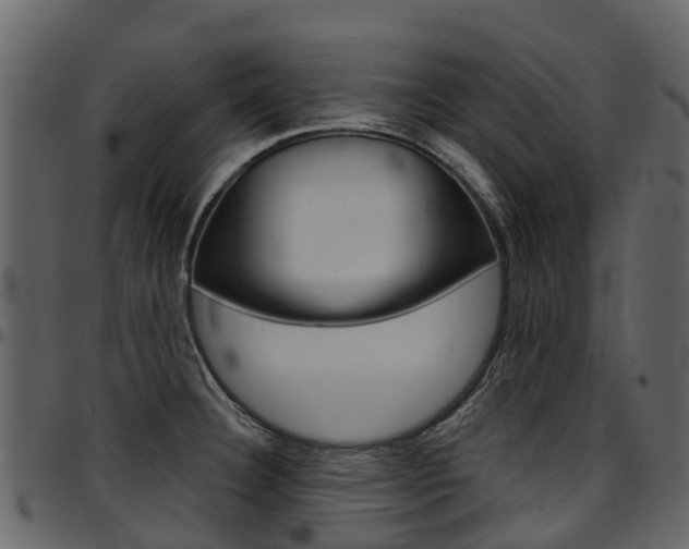 X0000097651332200802290837