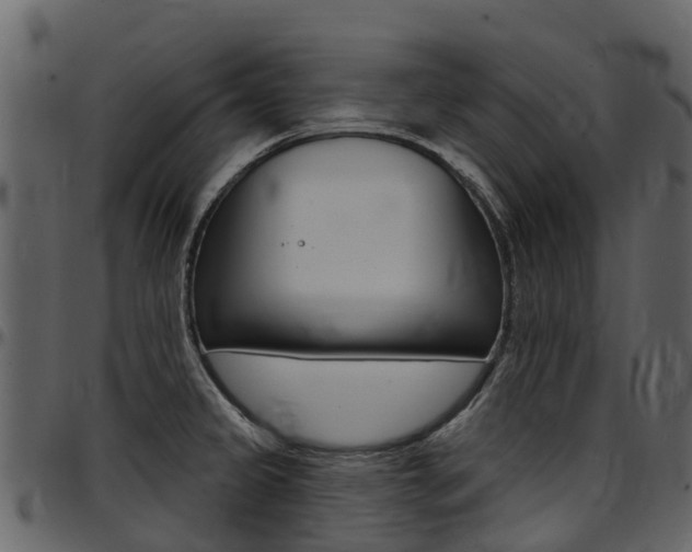 X0000097651333200802290837