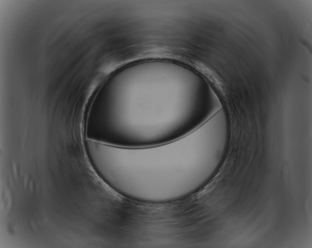 X0000097651334200802290837