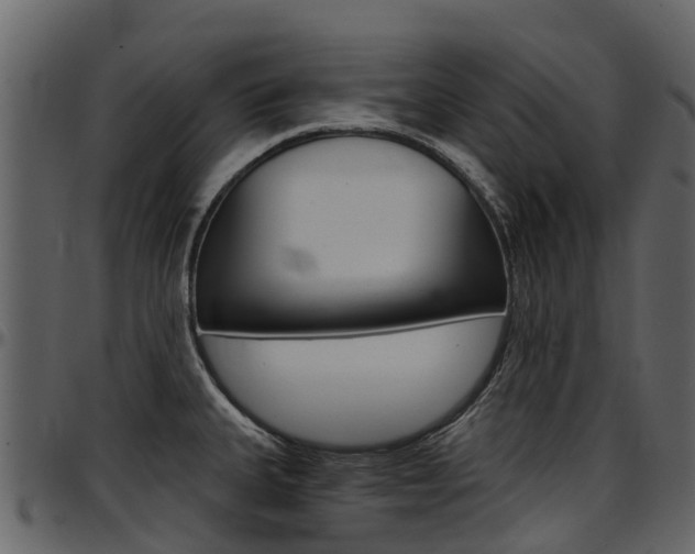 X0000097651335200802290837