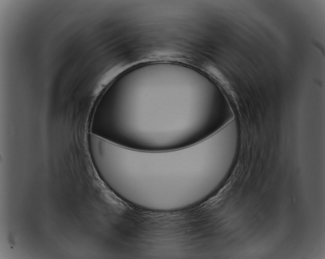 X0000097651336200802290837