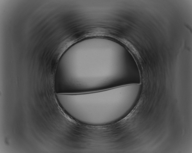 X0000097651337200802290837