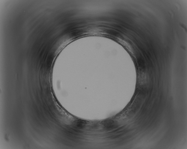 X0000097651338200802290837