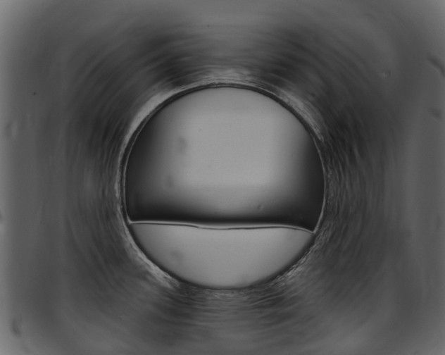 X0000097651339200802290837