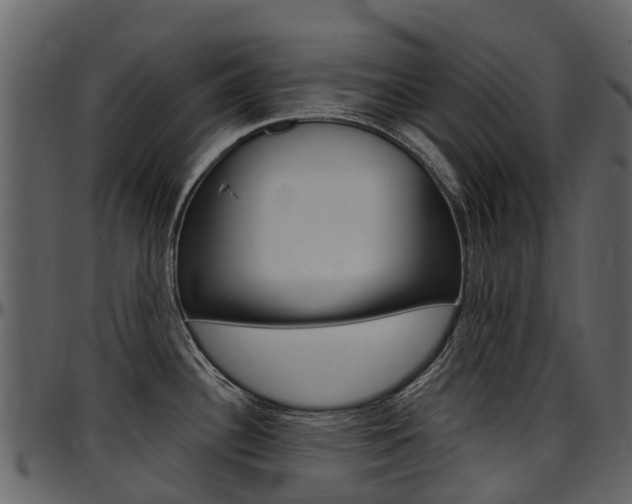 X0000097651340200802290837