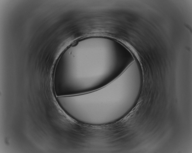 X0000097651341200802290837