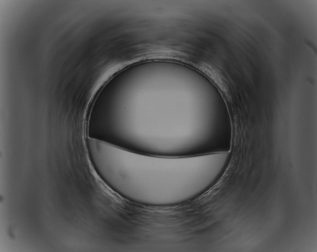 X0000097651342200802290837