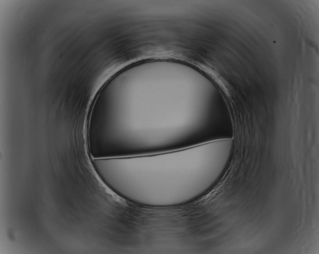 X0000097651343200802290837