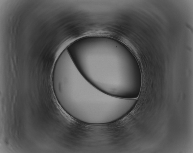 X0000097651344200802290837