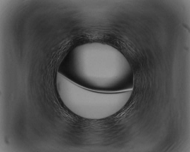 X0000097651345200802290837