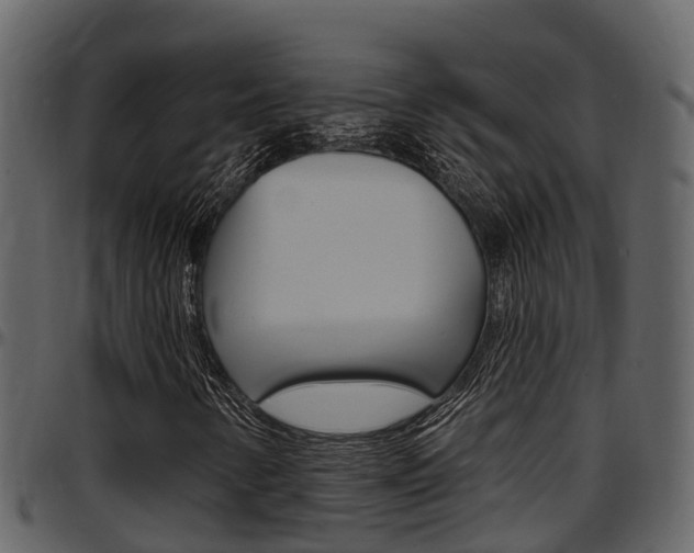 X0000097651346200802290837