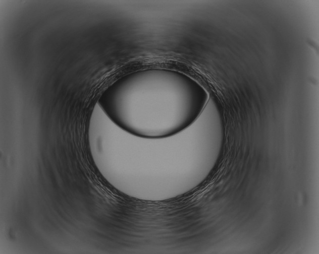 X0000097651348200802290837