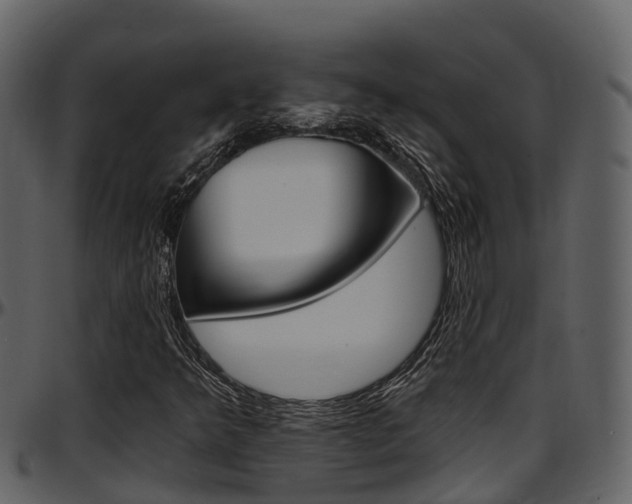 X0000097651349200802290837