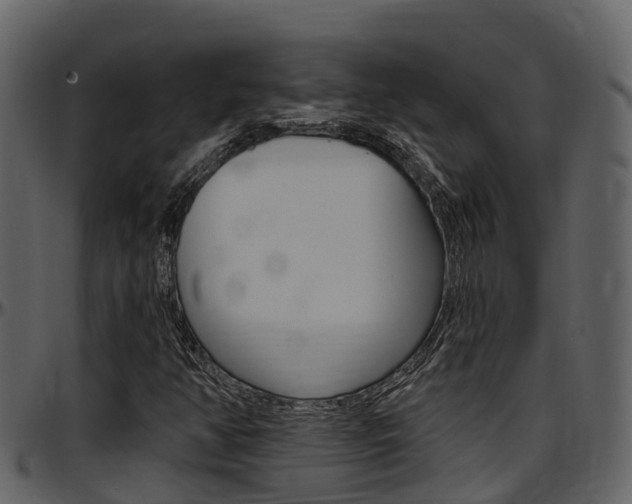 X0000097651350200802290837