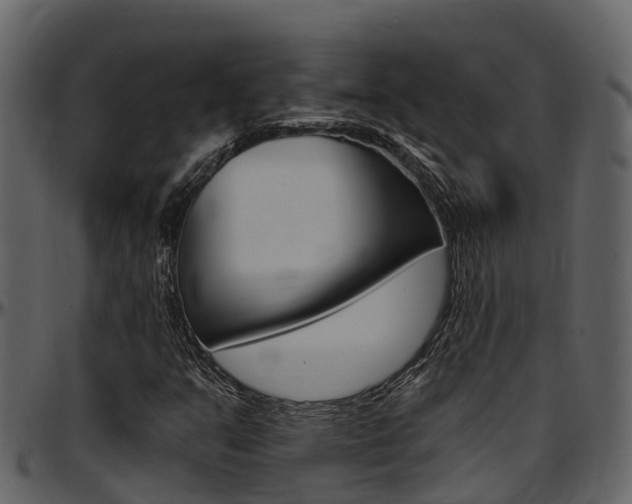 X0000097651351200802290837