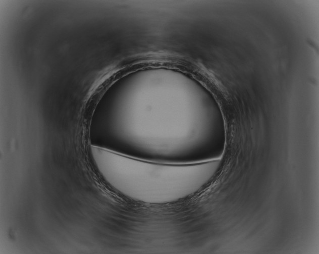 X0000097651352200802290837
