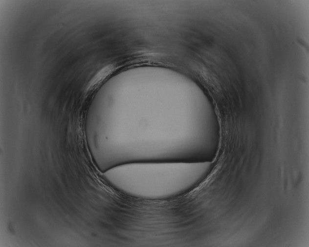 X0000097651354200802290836