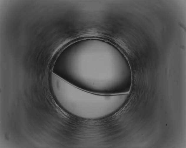 X0000097651356200802290836